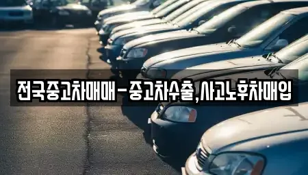 대구 수성구 중동 중고차 전문 전국중고차매매-중고차수출,사고노후차매입