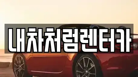 대구 수성구 황금동 렌트카 전문 내차처럼렌터카