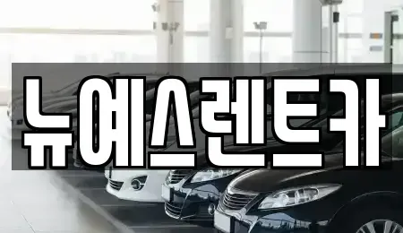 대구 중구 동문동 렌트카 전문 뉴예스렌트카