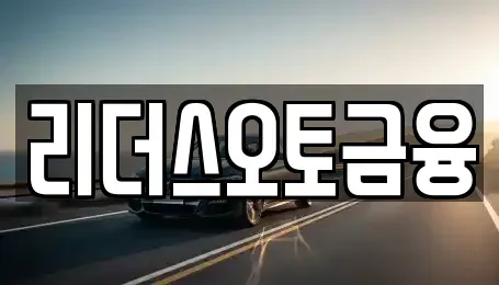 대구 중구 동문동 장기렌트카 전문 리더스오토금융