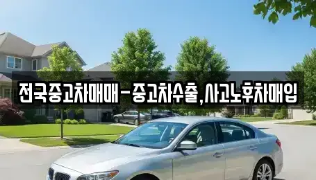 대구 중구 동문동 중고차매입 전문 전국중고차매매-중고차수출,사고노후차매입