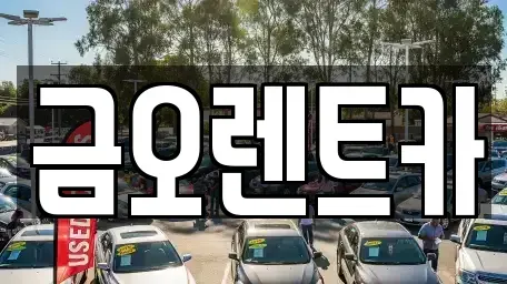 대구 중구 북성로1가 장기렌트카 전문 금오렌트카