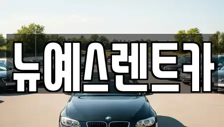 대구 중구 사일동 렌트카 전문 뉴예스렌트카