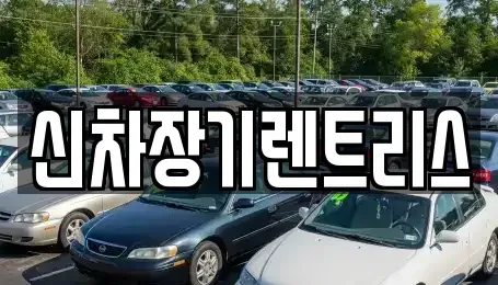 대구 중구 사일동 렌트카 전문 신차장기렌트리스
