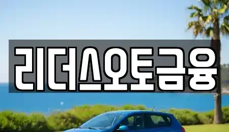대구 중구 사일동 장기렌트카 전문 리더스오토금융