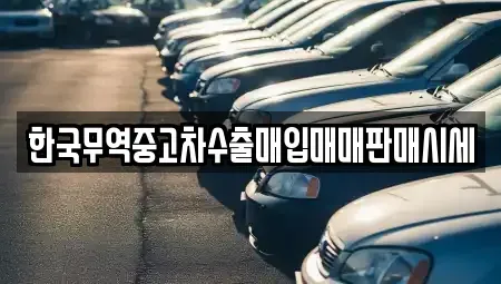 대구 중구 사일동 중고차매매 전문 한국무역중고차수출매입매매판매시세