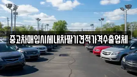 대구 중구 사일동 중고차매입 전문 중고차매입시세내차팔기견적가격수출업체