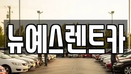 대구 중구 서성로1가 렌트카 전문 뉴예스렌트카