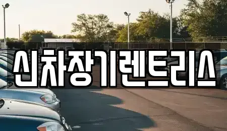 대구 중구 서성로1가 렌트카 전문 신차장기렌트리스