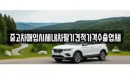 대구 중구 서성로1가 중고차매입 전문 중고차매입시세내차팔기견적가격수출업체