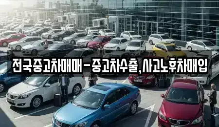대구 중구 장관동 중고차 전문 전국중고차매매-중고차수출,사고노후차매입