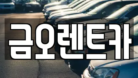 대구광역시 단기렌트카 전문 금오렌트카
