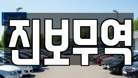 대구광역시 달서구 대천동 중고차,렌트카,중고차매입,중고차매매,장기렌트카,단기렌트카