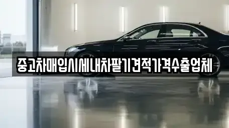 대구광역시 달서구 대천동 중고차매입 전문 중고차매입시세내차팔기견적가격수출업체