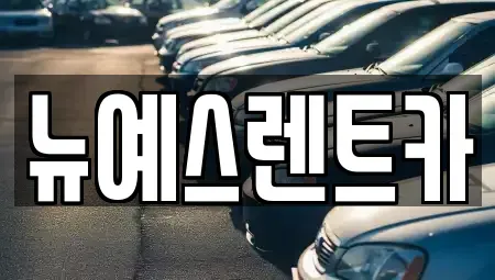 대구광역시 달성군 옥포읍 렌트카 전문 뉴예스렌트카