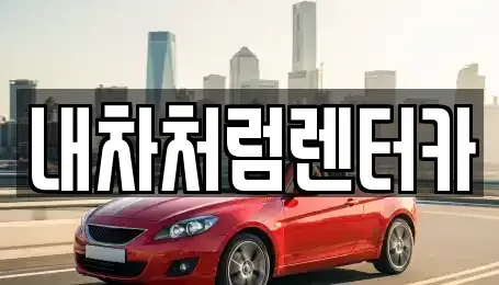 대구광역시 동구 서호동 렌트카 전문 내차처럼렌터카