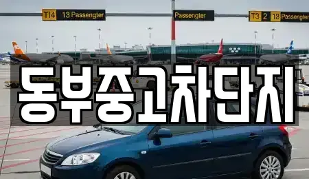 대구광역시 동구 서호동 중고차매매 전문 동부중고차단지