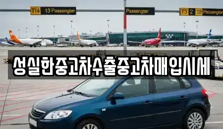 대구광역시 동구 서호동 중고차매입 전문 성실한중고차수출중고차매입시세