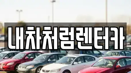 대구광역시 동구 신기동 렌트카 전문 내차처럼렌터카