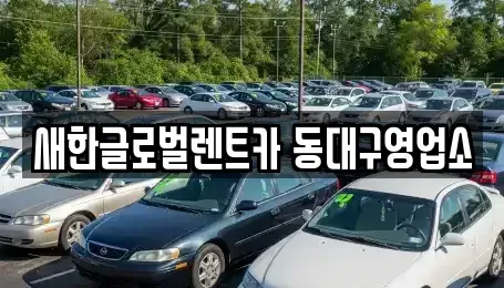 대구광역시 동구 신기동 렌트카 전문 새한글로벌렌트카 동대구영업소
