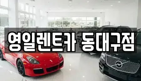 대구광역시 렌트카 전문 영일렌트카 동대구점