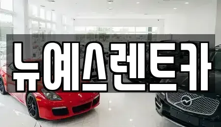 대구광역시 북구 고성동1가 렌트카 전문 뉴예스렌트카