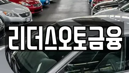 대구광역시 북구 고성동1가 장기렌트카 전문 리더스오토금융