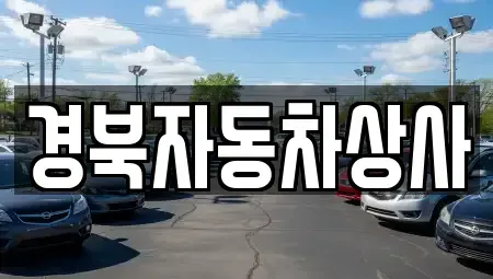 대구광역시 북구 고성동1가 중고차매매 전문 경북자동차상사