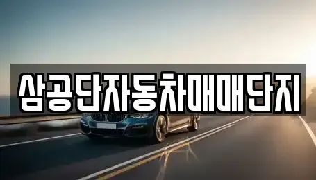 대구광역시 북구 노원동3가 중고차 전문 삼공단자동차매매단지