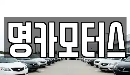대구광역시 북구 노원동3가 중고차매입 전문 명카모터스