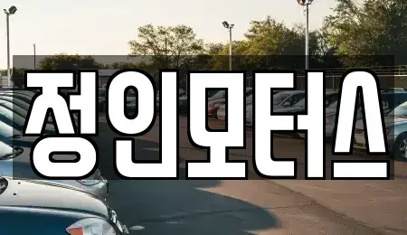 대구광역시 북구 노원동3가 중고차매입 전문 정인모터스