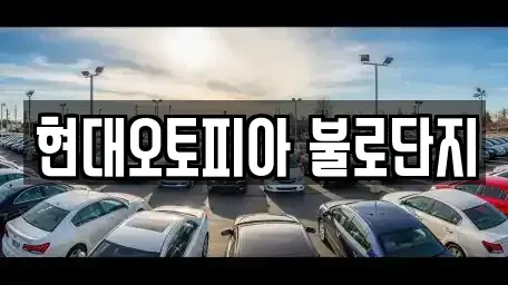 대구광역시 북구 동변동 중고차 전문 현대오토피아 불로단지