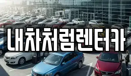 대구광역시 북구 연경동 렌트카 전문 내차처럼렌터카