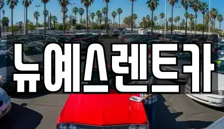 대구광역시 수성구 고모동 렌트카 전문 뉴예스렌트카