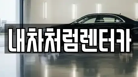 대구광역시 수성구 신매동 렌트카 전문 내차처럼렌터카