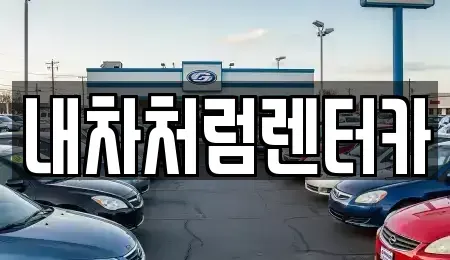 대구광역시 수성구 신매동 렌트카 전문 내차처럼렌터카