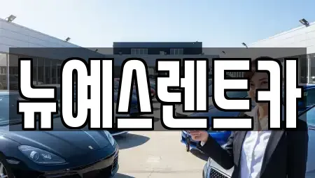 대구광역시 수성구 신매동 렌트카 전문 뉴예스렌트카