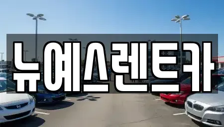 대구광역시 수성구 신매동 렌트카 전문 뉴예스렌트카