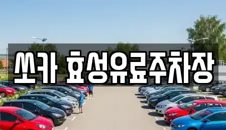 대구광역시 수성구 신매동 렌트카 전문 쏘카 효성유료주차장
