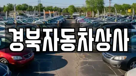 대구광역시 수성구 신매동 중고차 전문 경북자동차상사