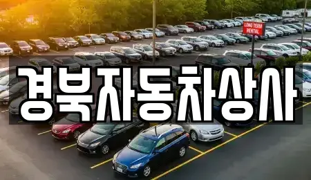 대구광역시 수성구 신매동 중고차매매,단기렌트카,중고차매입,장기렌트카,중고차,렌트카