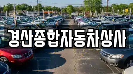 대구광역시 수성구 신매동 중고차매매 전문 경산종합자동차상사
