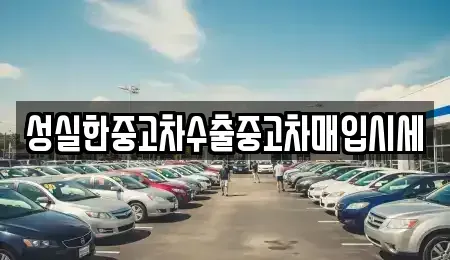대구광역시 수성구 신매동 중고차매입 전문 성실한중고차수출중고차매입시세