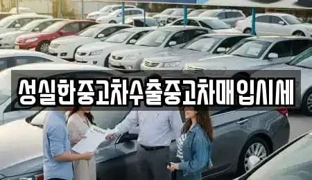 대구광역시 수성구 신매동 중고차매입 전문 성실한중고차수출중고차매입시세