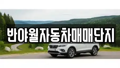 대구광역시 중고차매매 전문 반야월자동차매매단지