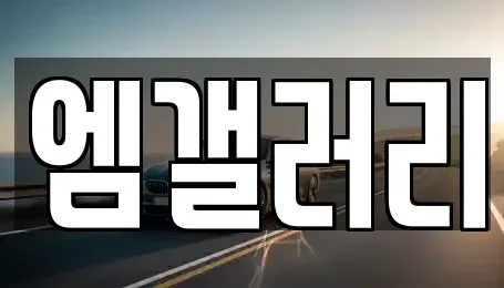 대구광역시 중고차매매 전문 엠갤러리