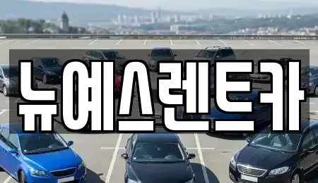 대구광역시 중구 수동 렌트카 전문 뉴예스렌트카