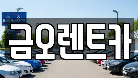 대구광역시 중구 수동 장기렌트카 전문 금오렌트카