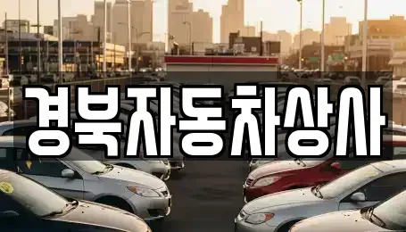 대구광역시 중구 수동 중고차 전문 경북자동차상사