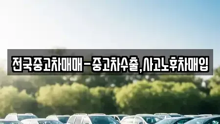 대전 동구 용운동 중고차 전문 전국중고차매매-중고차수출,사고노후차매입